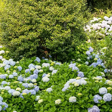 Hotel Alda Via Norte O Grove