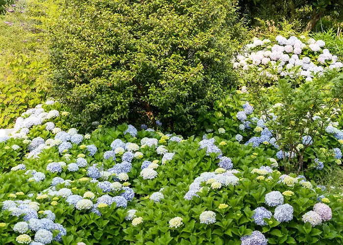 Отель Alda Via Norte Эль-Грове