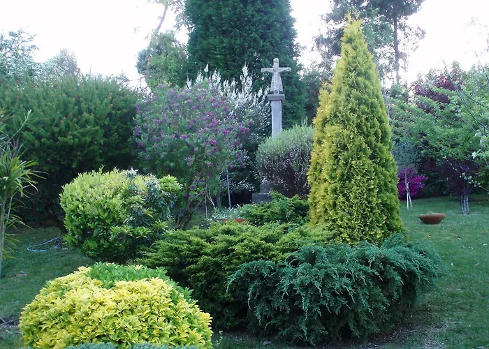 Отель Alda Via Norte Эль-Грове